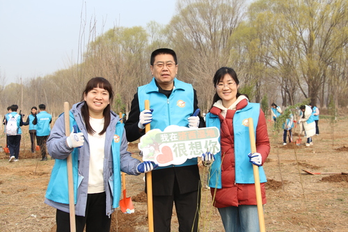 植树过程 (5).JPG